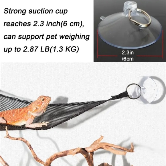 Iguana/Lizard Hammock - Picture 3 of 8